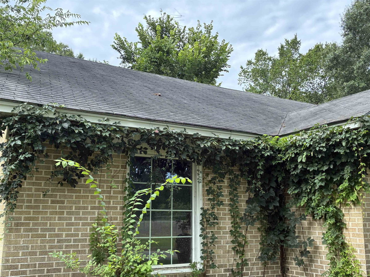 2-Bedroom Owner Finance Home in Carthage, TX in Carthage, TX, owner financed with no credit check, photo 12 of 17