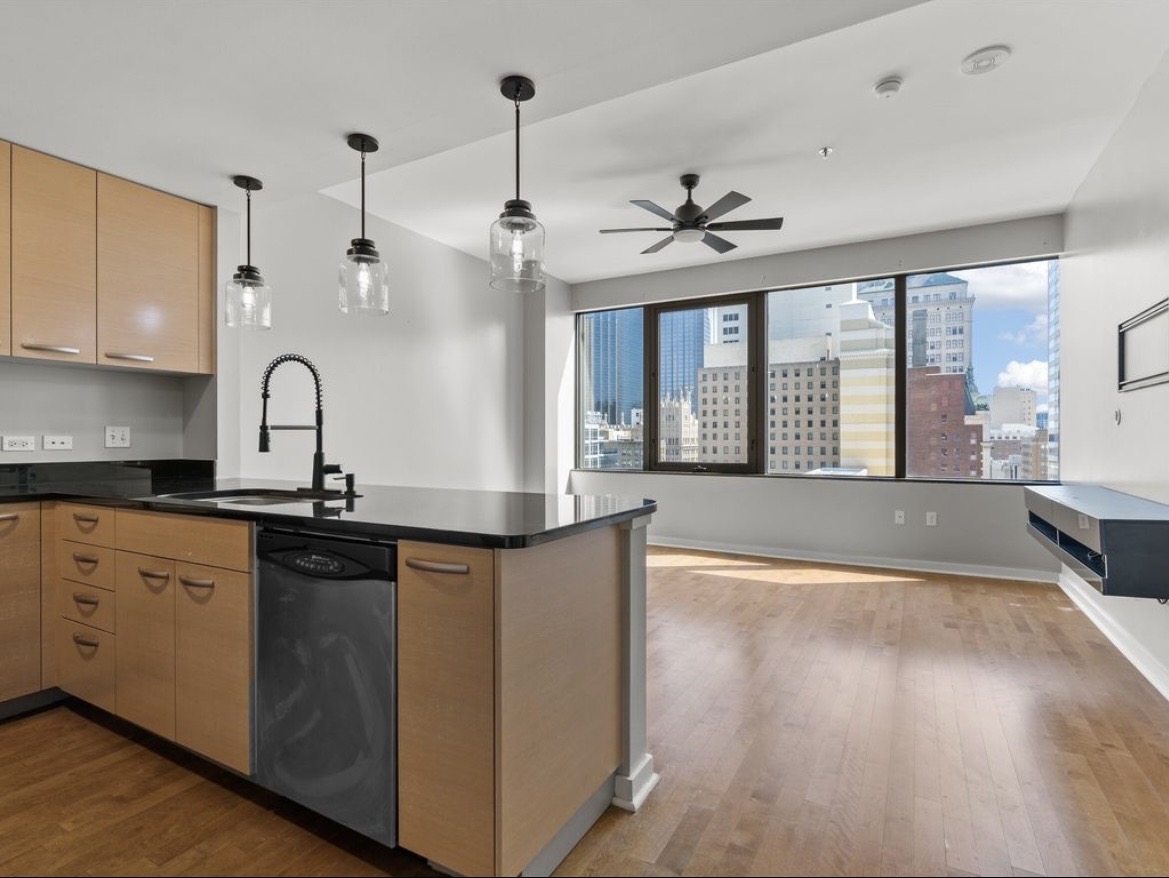 1-Bedroom Owner Finance Condo in Dallas, TX in Dallas, TX, owner financed with no credit check, photo 4 of 10